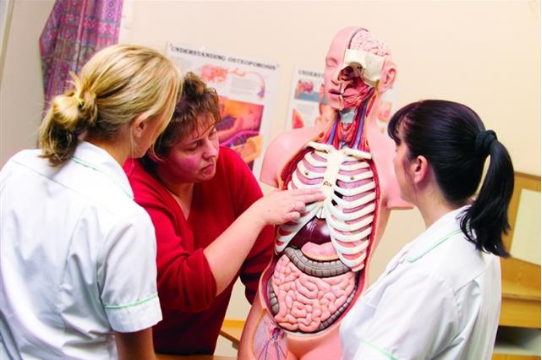 3 Medical Careers You Should Consider Before Heading To University