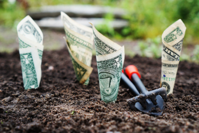 Watering Your Money Tree: Exciting Investments to Boost Your Income