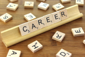 Which Factors Matter Most When Choosing a Career?