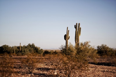 How to Find Hunting Land in Texas