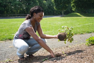 3 Tips For Creating Low Maintenance Landscaping