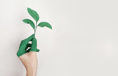 4 Ways Your Business Could Be More Conscious On The Environment