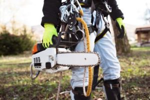 3 Essential Things to Look for When Purchasing a Chainsaw