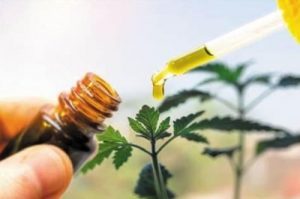 6 Little Known Facts About CBD Products
