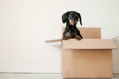 6 Money-Saving Tips to Make Your Move Smooth