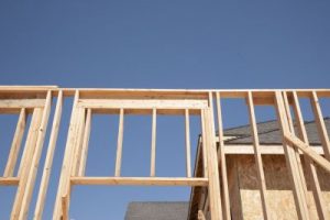 Should You Go With A Steel Frame Or A Timber Frame?