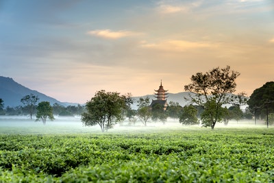 Could You Double Your Returns By Investing In Agriculture?