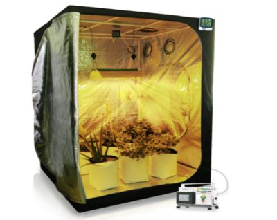 Hydroponic Grow Tent Kits in Canada – Find Wholesale Hydroponics