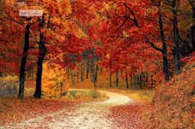 The 10 Best Autumn Road Trip Destinations