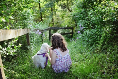 Dogs and Plants: What’s Safe for Them and What Isn’t?