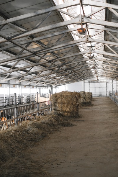 6 Advantages of Steel Farm Buildings Compared to Traditional Ones