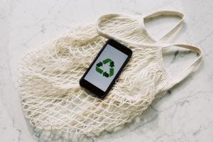 2 Effective Steps to Make a Business More Eco-Friendly and Sustainable