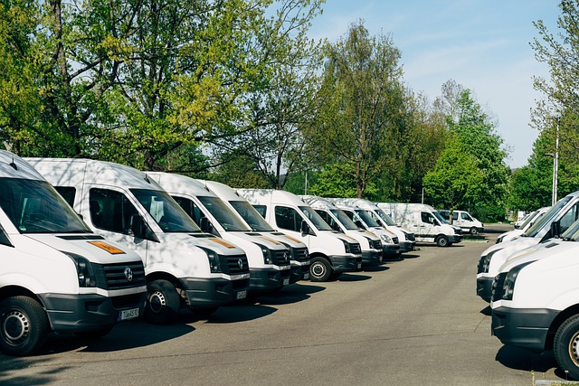 6 Tips to Efficient Vehicle Fleet Management for Business Success