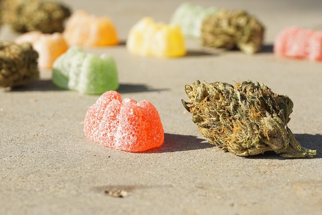 Kratom Gummies vs. Traditional Supplements: Why More People Are Making the Switch